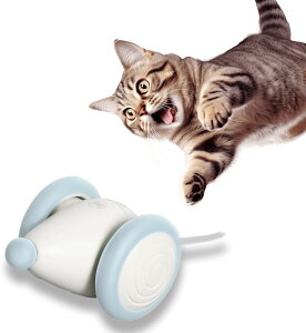 _労ӃZ[͓ʉi^2025N ŐV Cheerble EBLbh}EX vX Plus L  d˂ L̃C^YF lV ˂ ˂ d  I` dlY~ 