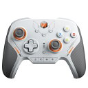 【大感謝セール！2000円OFFクーポン配布中】BIGBIG WON BLITZ2 TMR Pro コントローラー 無線 有線 接続 ホールジョイ…