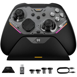 �_�A�t�^�[�}���\��������ՁI�^BIGBIG WON Storm Gale 2 �R���g���[���[ 2000Hz ���|�[�����O���[�g ���C�����X �R���g���[���[ �v���R�� TMR�W���C�X�e�B�b�N 4�w�ʃ{�^�� �f���A���g���K�[ PC Ninten