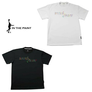 yz IN THE PAINT CUyCg ITP24365 TVc Y fB[X oXP 