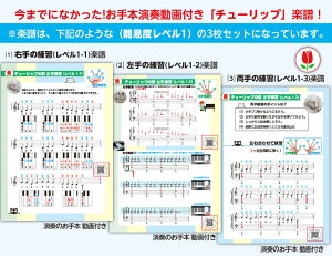 Sҗpy `[bvy Փxx1 {tt! wԍh~ӂ肪ȕt EKyKyKy3ZbgJ[h wԍty S