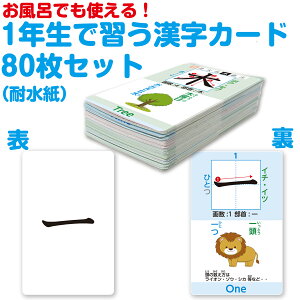 NŏKJ[h80Zbg CJ[h J[h Ђ炪ȃJ[h J[h  Z Z ΐ30 ZC|X^[ ̂Ђ傤 \ C|X