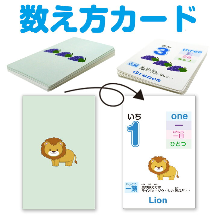 楽天市場】数え方カード数カード プラスチックカード カード おんぷ 