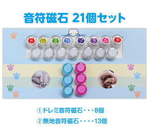 21Zbg(a15mm)h~n ΃Zbg zCg{[hܐ {[h Ǌ| }OlbgJ[h SҊy sAmƊw ܐ{[h y sAm 