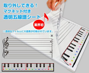 透明五線譜シート五線譜がが作れる! 五線ボード 五線譜ホワイトボード リズム練習 鍵盤カード音符カード 音符マグネット 音符カード 五線ボード 音符マグネット 音階 五線ボード 音楽 教