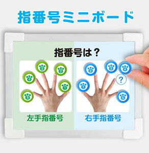 wԍ~j{[h wg wԍ ܐ{[h ܐzCg{[h ՃJ[hJ[h }Olbg J[h sAmށ@3΁` mߋ K ܐ{[h y   S