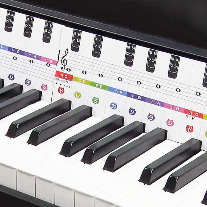 楽天市場】ありそうでなかった！ 鍵盤カード ｜29鍵盤 ピアノ 音楽 