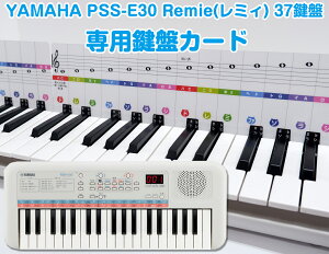 YAMAHA Remie(~B)pՃJ[h (~B) 37 ՃJ[h37 sAm y S Ɗw bX 
