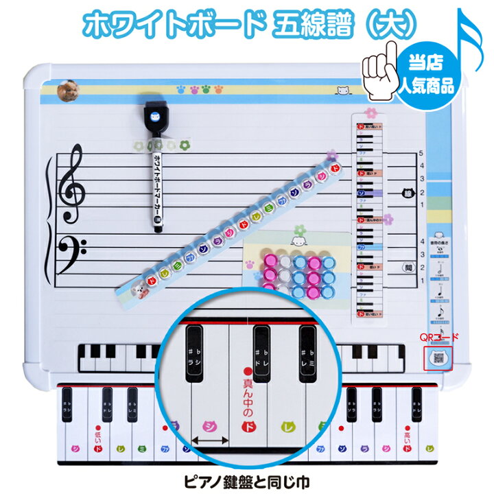 楽天市場】五線譜 ホワイトボード 大（立体鍵盤付き ） 鍵盤カードが 