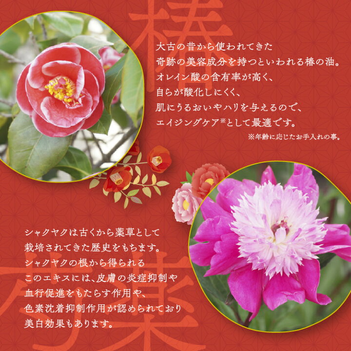 楽天市場 肥後六華 天然温泉水 美肌成分 と椿油 芍薬エキス 保湿成分 配合 ご当地 入浴料 お徳用5包セット 保湿 温泉 美容 コスメ ボディケア 敬老の日ギフト 入浴用化粧品 無添加 国産 浴用化粧品 敏感肌 乾燥肌 自然派 ナチュラル 低刺激 スキンケア 椿油 熊本 楽天市場 肥後六華 天然温泉水 美肌成分 と椿油 芍薬エキス 保湿成分 配合 ご当地 入浴料 お徳用5包セット 保湿 温泉 美容 コスメ ボディケア 敬老の日ギフト 入浴用化粧品 無添加 国産 浴用化粧品 敏感肌 乾燥肌 自然派 ナチュラル 低刺激 スキンケア 椿油 熊本