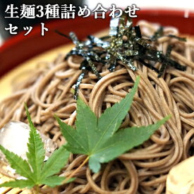 湯布院から直送 こだわり生麺3種食べ比べセット (生そば/茶そば/別府冷麺) ゆふいん麺工房 由布製麺【熨斗可】【送料込】 SAYU