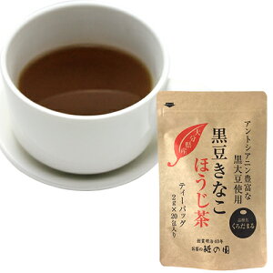 P̉ 啪Y Ȃ ق (eB[obO) 40g(2g×20)