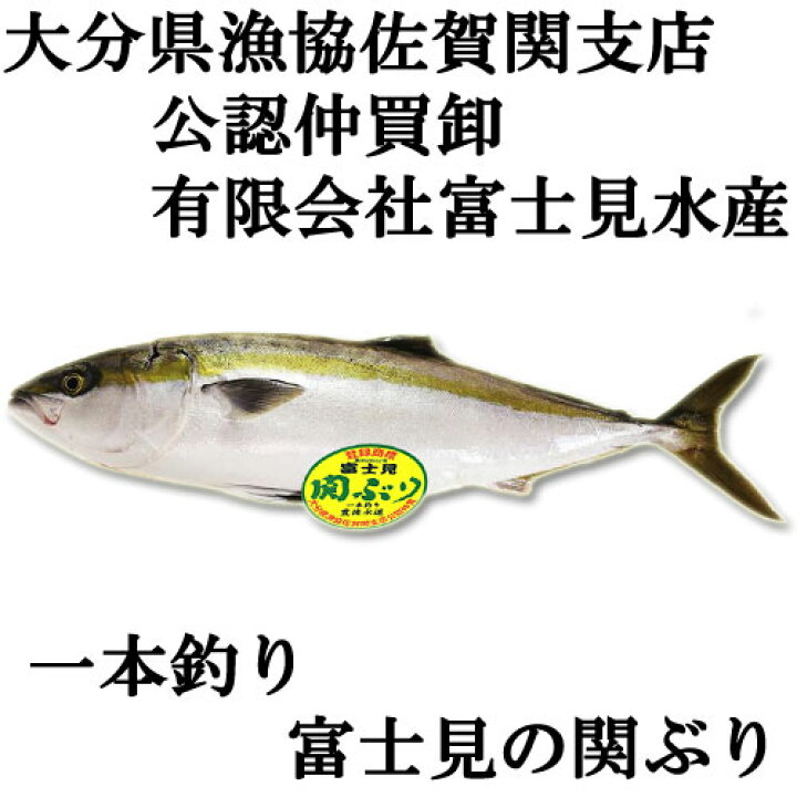 1644円 94%以上節約 1本釣り関あじ じゃこ天25枚 佐賀関漁港から直送 関アジのすり身天 富士見水産 1644円 94%以上節約 1本釣り関あじ じゃこ天25枚 佐賀関漁港から直送 関アジのすり身天 富士見水産