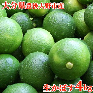 啪LsY ڂ ʎ 4kg ˂H[ Д_܂ގw__YI yz