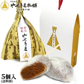 きな粉のヘルシーおやつ 豊後銘菓 やせうま 5個入り 郷土料理を和菓子にアレンジ お土産 やせうま本舗 田口菓子舗 (送料別)