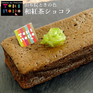 啪z@Yĕ×̃VR agVR 165g(16cm×5.5cm×3cm) Oet[ Kg[VR Rz@Ƃ̐Fyz