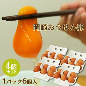 5%還元 岡崎おうはん卵 6個入り×4パック(24個セット) 大分ファーム/農場HACCP認証農場【送料無料】【ホワイトデークーポン】