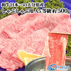 a{̑啪Yјa A5 ɏネ[X 500g a Ԃ L㋍  Y 啪  gLnC_Xg[璼yz