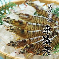九州産 鮮度抜群 活〆冷凍車海老 360g（10尾前後） 小分け包装 真空パック 国東物産 【送料込】