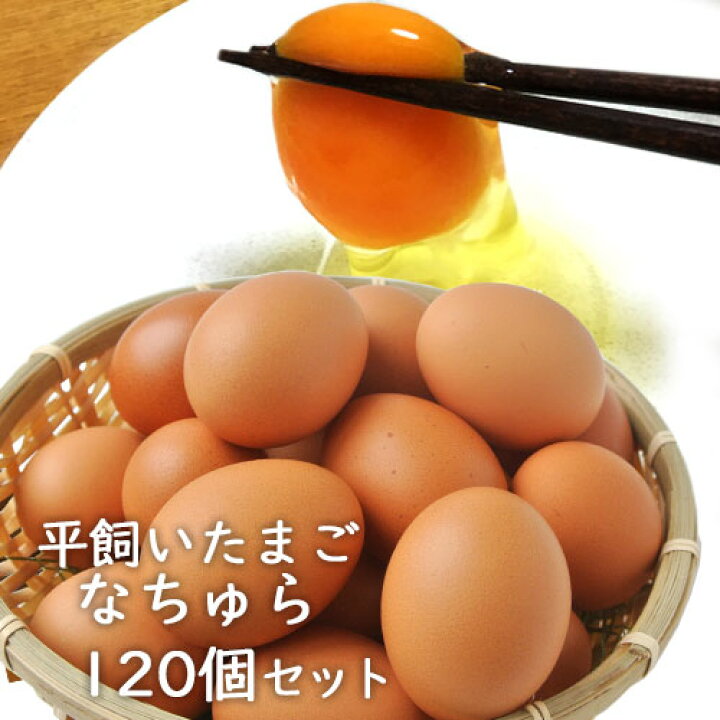 楽天市場】平飼い卵 なちゅら 10個入り×12パック【合計120個(100個＋ 