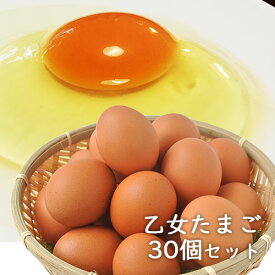 5%還元 豊の国 乙女たまご 10個入り×3パック（30個セット）大分県産 梶原種鶏孵化場【送料無料】【ホワイトデークーポン】