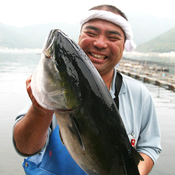 楽天市場 クーポン利用で Off かまえ直送活き粋船団 ブリ漬け丼 新鮮な大分県産ぶり使用 頑固漁師のあつめしの素 4人前 約110g 2パック 送料無料 おんせん県おおいた Online Shop