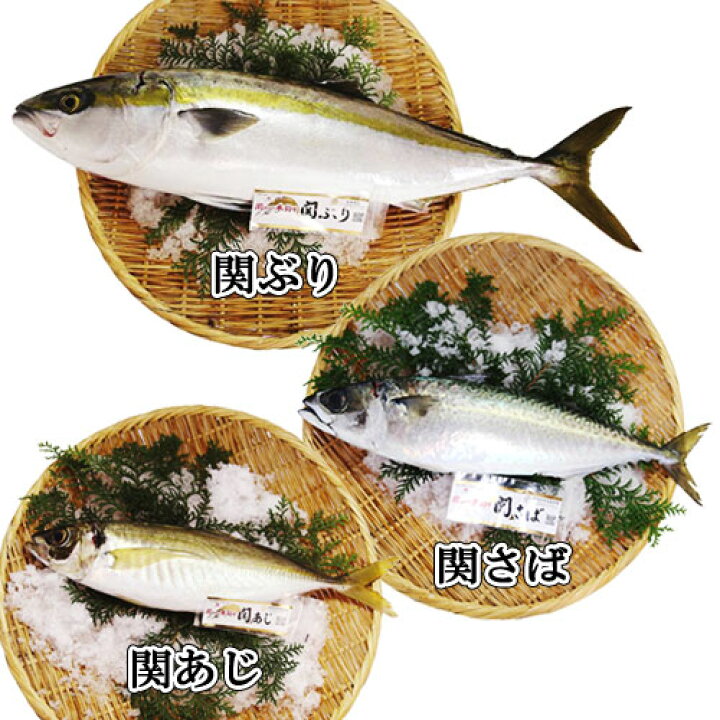 メール便不可 関アジ 関サバ 関ブリのりゅうきゅう 3袋セット 大分県漁業協同組合 佐賀関支店 送料込 Materialworldblog Com