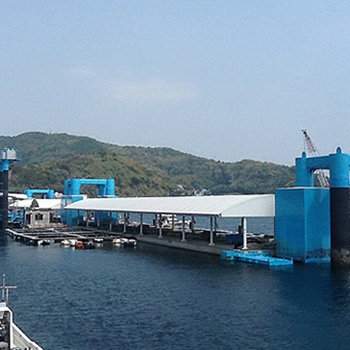 楽天市場 大分県漁協佐賀関支店から直送 活き締めした新鮮な関サバを1尾ずつ手作業 関さばフライ 3切入 3袋セット 送料込 Oiki おんせん県おおいた Online Shop