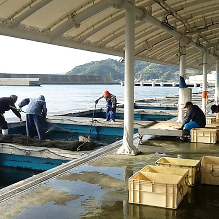 楽天市場 産地直送 新鮮な活け締め 一本釣り関あじ タレ漬け 3袋セット りゅうきゅう 大分県漁協佐賀関支店 送料込 おんせん県おおいた Online Shop