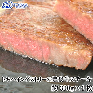 A5 ؂T[CXe[L a{̑啪 gLnC_Xg[a 300g 4Zbg L㋍yz