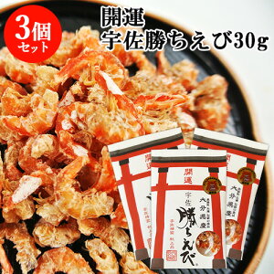 F_{i J^ F  30g×3Zbg kȂCV N 쐅Yyz