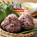 九州産&国産100% 雑穀米or古代米or麦 選べる 2袋セット(五穀米/十穀米/麦姫五膳/もち麦/黒米/赤米) かけ干し米 白米と…
