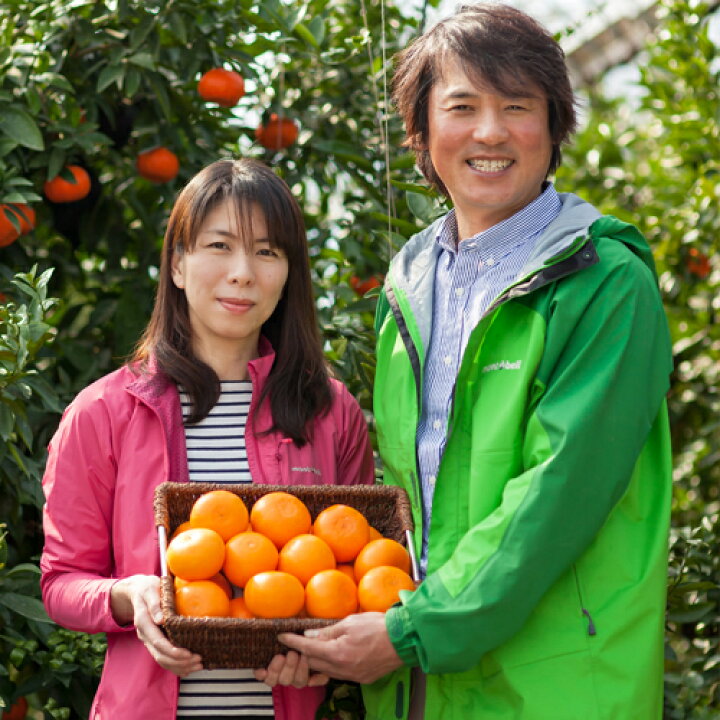 楽天市場 クーポン利用で Off 季節限定 石児さんちのポンカン 約5kg M L Ll玉のいずれか 柑橘類 エコファーマー認証 豊予農場 包装不可 送料無料 おんせん県おおいた Online Shop