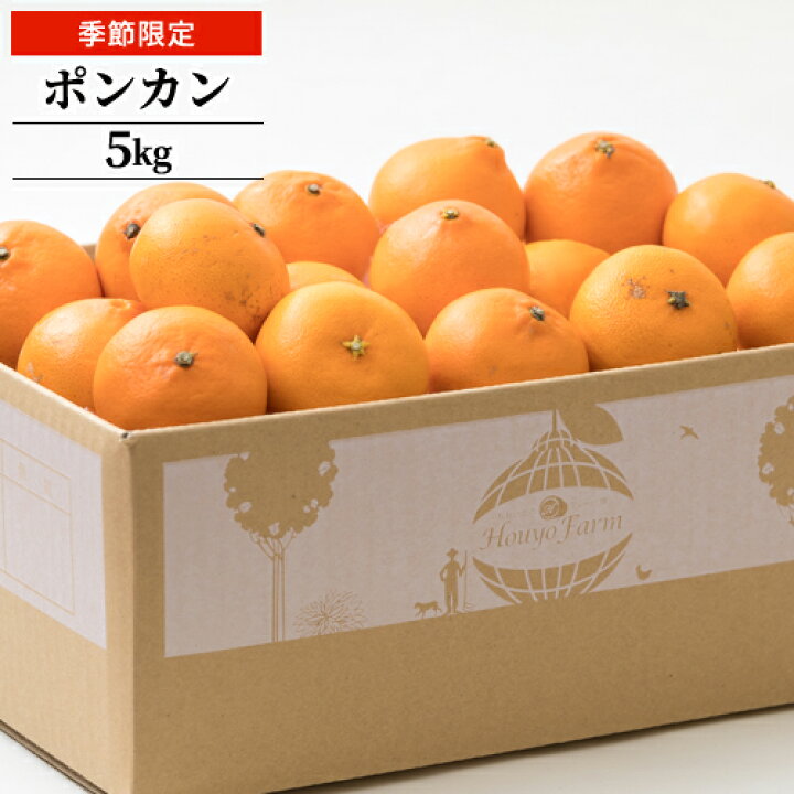 楽天市場 クーポン利用で Off 季節限定 石児さんちのポンカン 約5kg M L Ll玉のいずれか 柑橘類 エコファーマー認証 豊予農場 包装不可 送料無料 おんせん県おおいた Online Shop