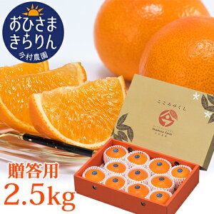 啪YIW p Ђ܂ 2.5kg (^S[/B݂/܂IW) L@엿  _yz