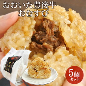 大分県産和牛＆ごぼう使用 無添加 おおいた豊後牛おむすび 5個セット(1個80g) 混ぜご飯おにぎり 冷凍 クールフーズHANA【送料込】 OIKI