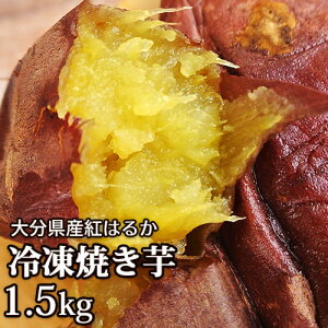 啪Y g͂邩 ؂̗ⓀĂ 1.5kg(10{O) Mtg XC[c ĂACX N[t[YHANAyz