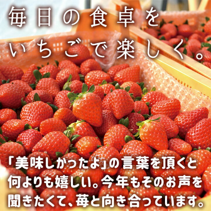 楽天市場 大分県産苺100 使用 いちごのはな フレーバーシュガー 50g 3個セット 無着色 無香料 イチゴ 紅茶などの飲み物に トーストやヨーグルトにトッピング 朝どれ 苺屋 服部農園 送料込 おんせん県おおいた Online Shop