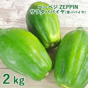 �V���L�V���L�H�� ZEPPIN�T���_�p�p�C�� 2kg(3�`4��) �p�p�C�� �p�p�C���y�f ���_�� �x�[�x�W�y�������z