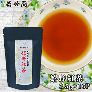 | BYgTK g 40g(2.5g×16ܓ) ag Yt eB[obN black tea