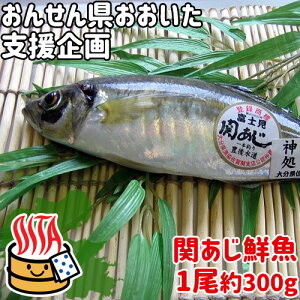 関アジ 魚の人気商品 通販 価格比較 価格 Com