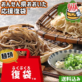 【応援企画】おんせん県おおいた ふっこう復袋(ふくぶくろ)Cセット おまかせ生麺 14点入り＜他商品同梱不可＞冷蔵便 送料込み大分県支援 復興福袋 ゆふいん麺工房 由布製麺 SAYU