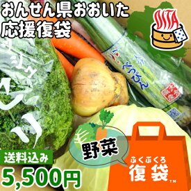 【応援企画】おんせん県おおいた ふっこう復袋(福袋) 新鮮な野菜詰め合わせを産地直送でお届け！ 野菜詰め合わせセット 5,500円 送料込み 冷蔵 大分県支援 復興 爽食柑株式会社 OIKI