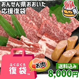 【応援企画】おんせん県おおいた ふっこう復袋(福袋) 豊後牛焼肉セット 2～3人前 8,000円 送料込み 冷蔵 和牛バラ肉 豚バラ肉 ウインナー 大分県支援 復興 ミカド肉店