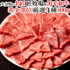 大分県産おおいた和牛 黒毛和牛希少部位 おまかせ4種 焼肉セット 800g 特上おおいた豊後牛 国産 九州 BBQ 焼き肉 牛肉 焼肉 匠牧場【送料込】 KTBU