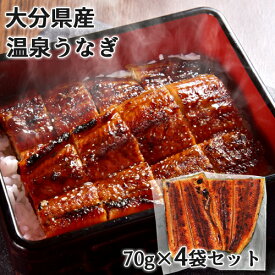 天然温泉で育った鰻 食べやすくカットされた温泉うなぎ蒲焼 70g×4袋セット(特製タレ30ml・山椒4袋) お試しサイズ 無投薬 温泉かけ流し 大分県産 電子レンジ加熱 日本ギフト大賞受賞 大分水産【送料込】 KTK