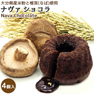 啪LsYĕƊőgp i@VR 4 Oet[ |csYpE_[gp X̃VR tH_VR   mَqH[AeB[Ny