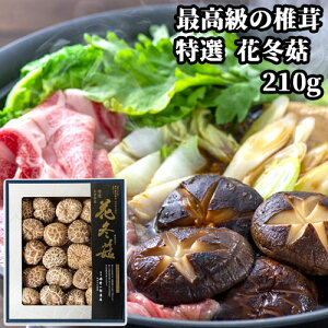 |csY I ԓ~  210g ͂Ȃǂ ō̒ő  VC^P PYXyz