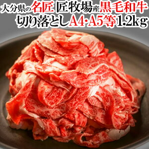 a{̑啪Y a ؂藎Ƃ A4EA5 1.2kg(300g×4pbN) L㋍  Y NA`sIY q yz
