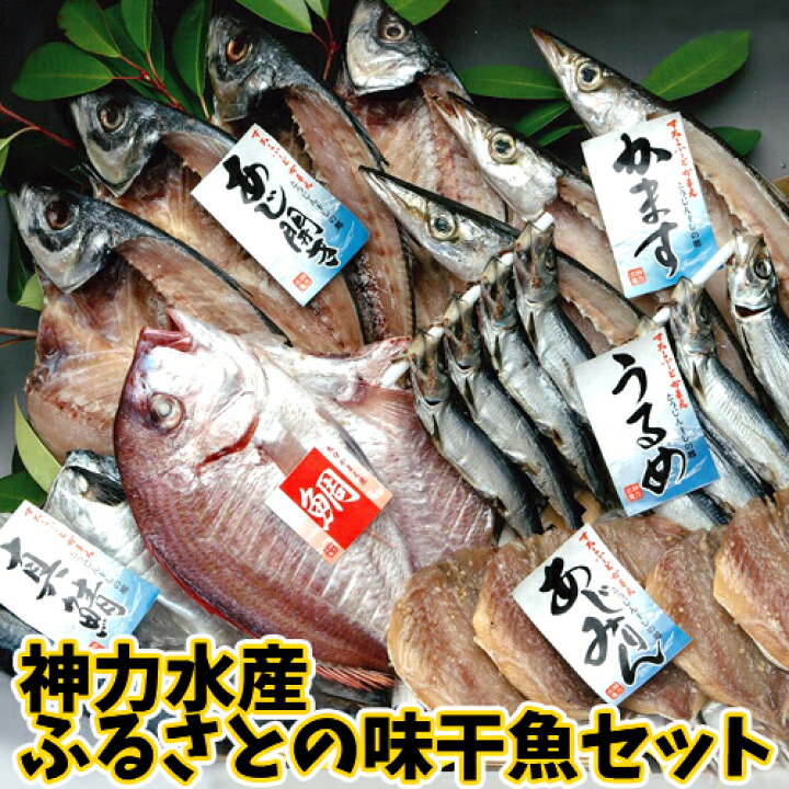 楽天市場 九州産 神力水産ふるさとの味干魚 干物 セット 真鯖開き1尾 あじ開き4尾 かます開き3尾 みりん干し5 7枚 うるめ丸干し 鯛の開きまたはイカの一夜干し 冷凍便 かまえインターパーク海べの市 送料無料 おんせん県おおいた Online Shop